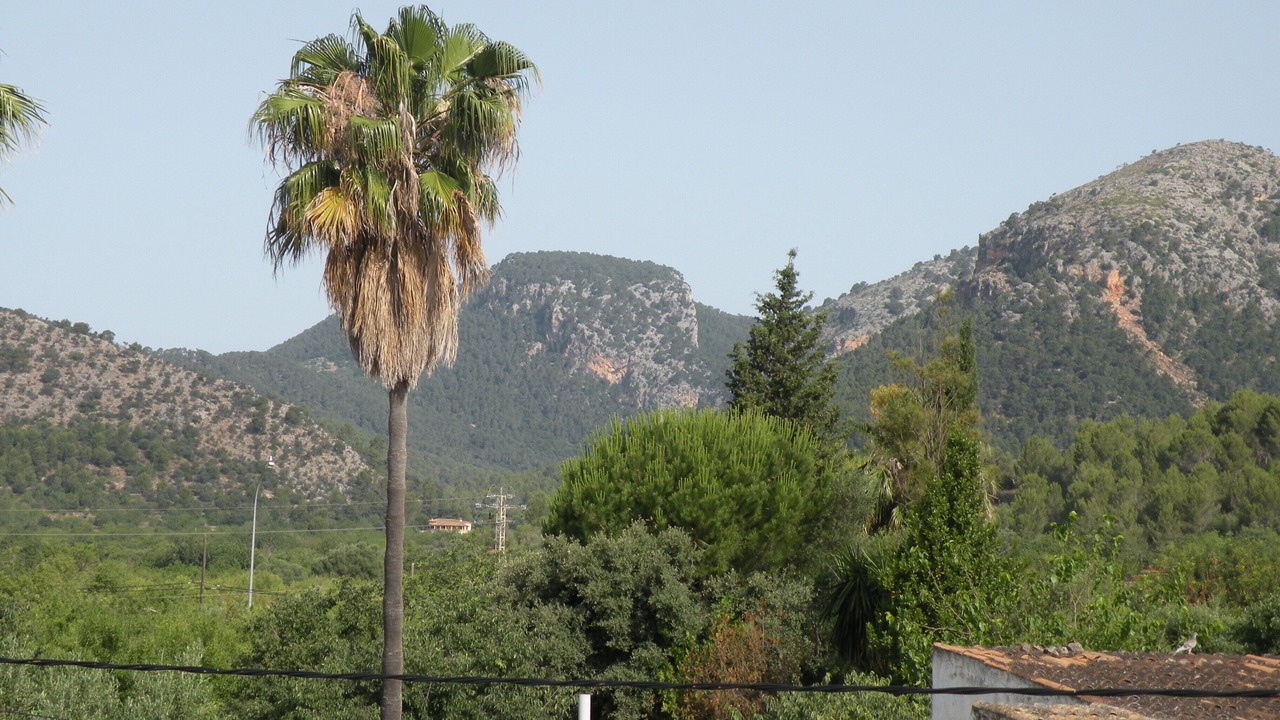 Photo of Others in La Esglayeta