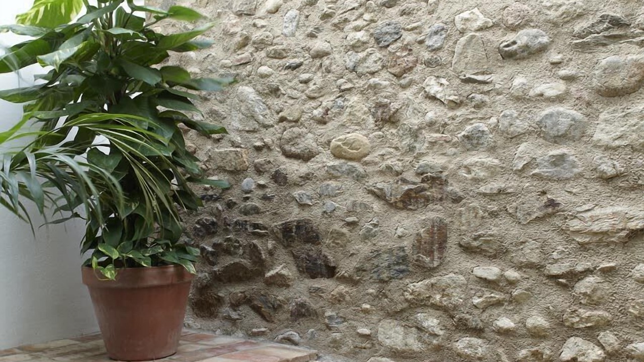 Photo of Others in Sant Climent Sescebes