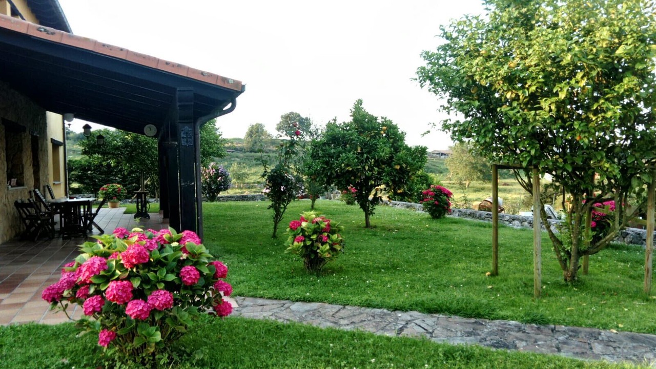 Photo of Outdoor in Ribadedeva