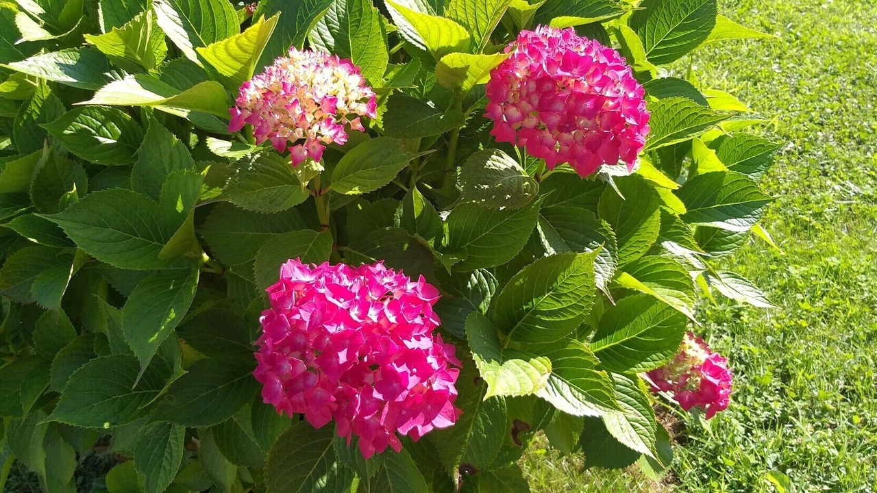 Photo of Outdoor in Ribadedeva