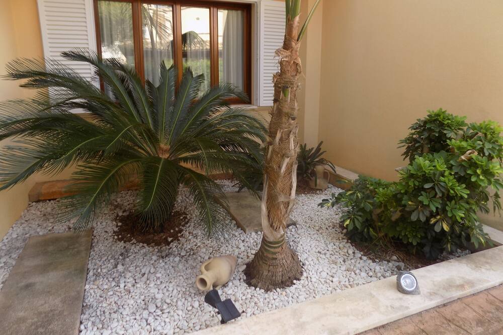 Photo of Others in Costa de los Pinos