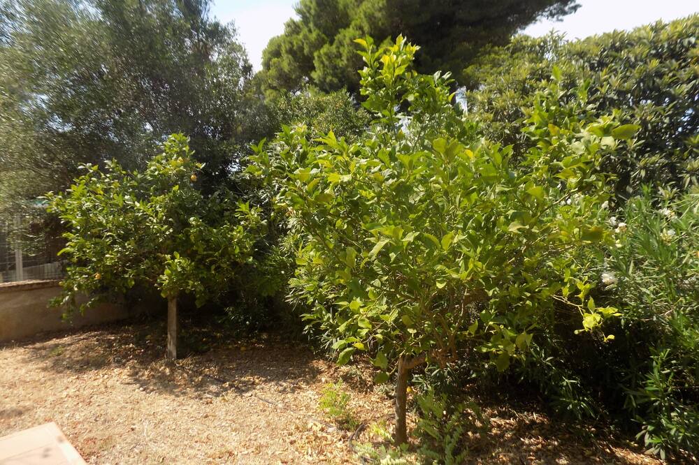 Photo of Outdoor in Costa de los Pinos