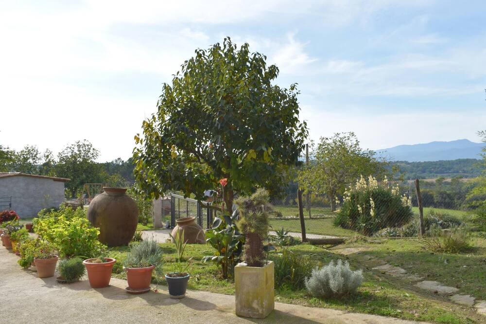 Photo of Outdoor in Vilademuls
