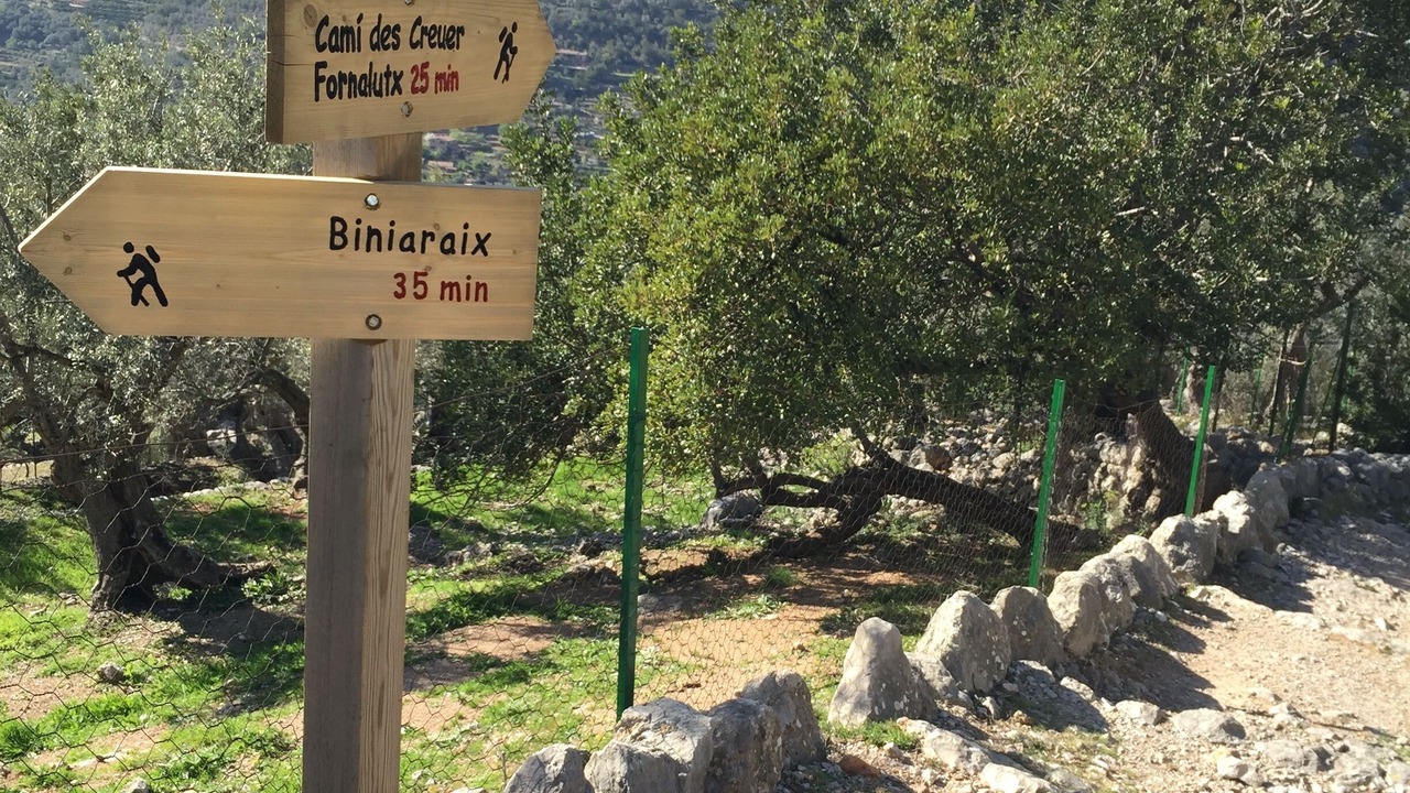 Photo of Outdoor in Biniaraix