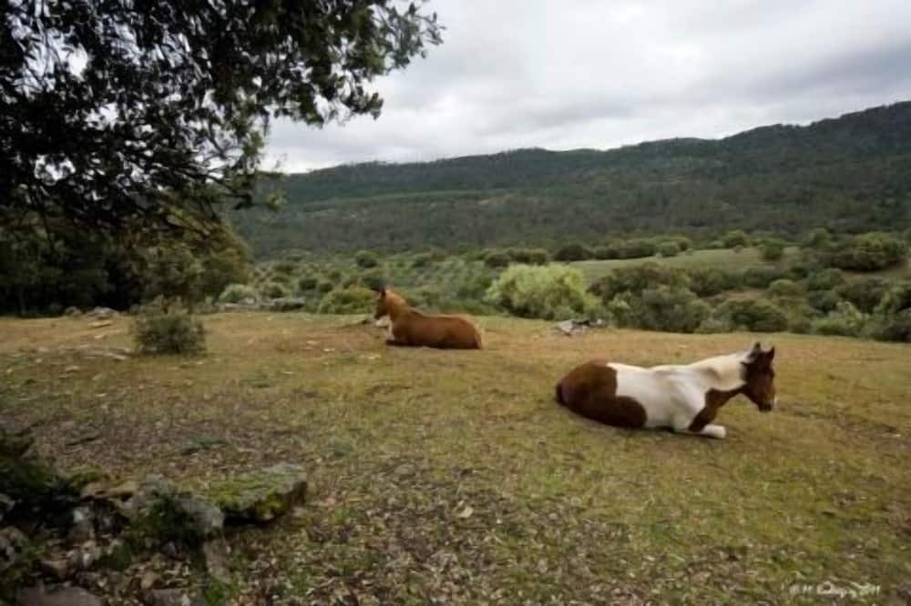 Photo of Outdoor in Santo Tome