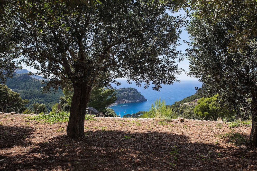 Photo of Outdoor in Escorca