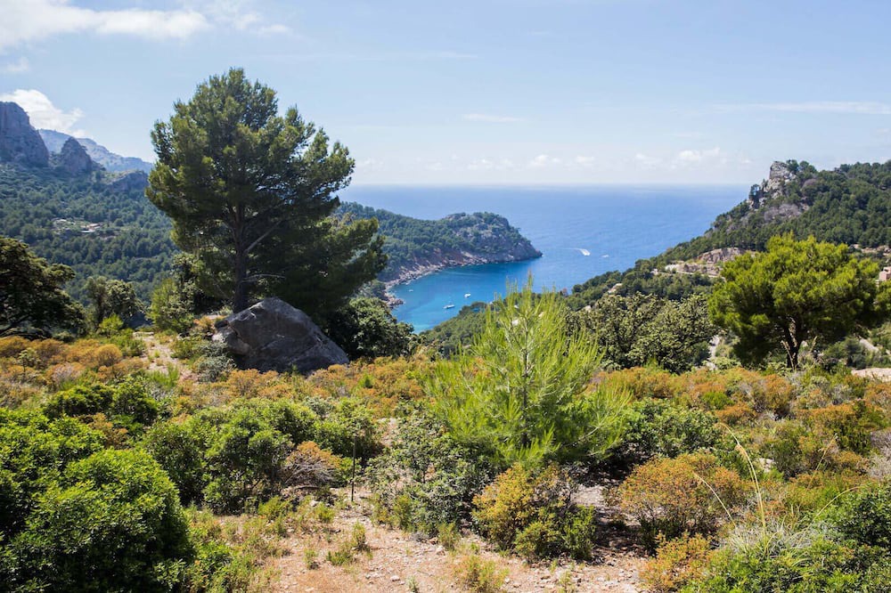 Photo of Outdoor in Escorca