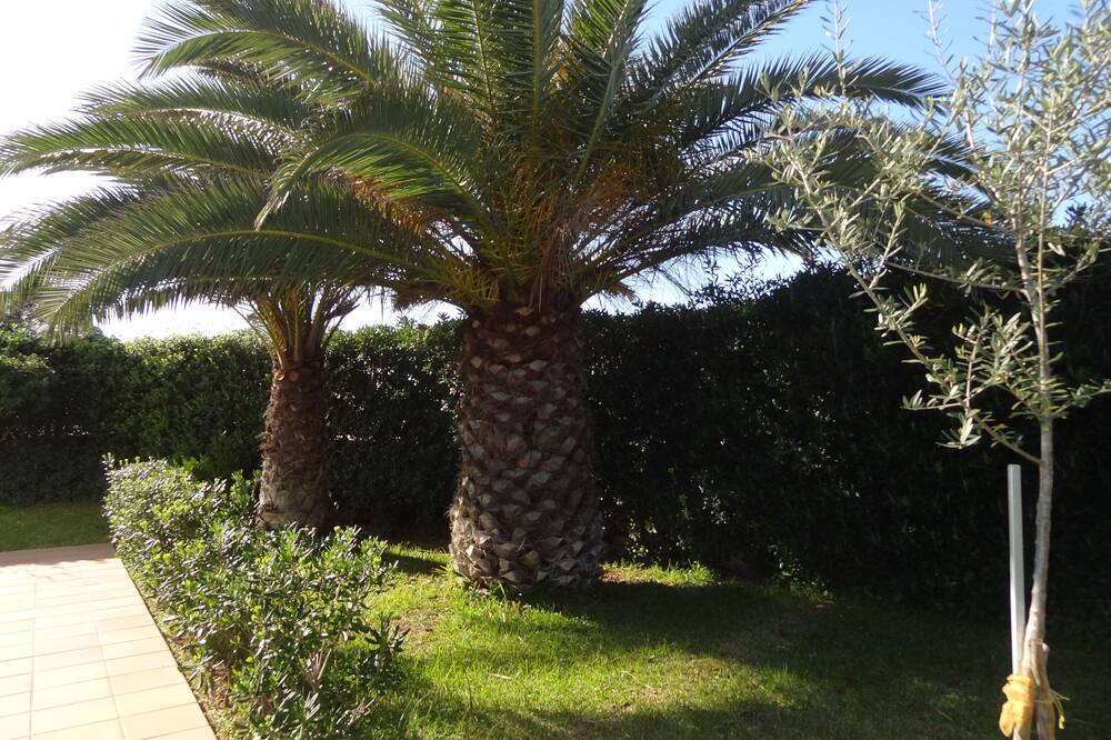Photo of Outdoor in Cap d'Artrutx