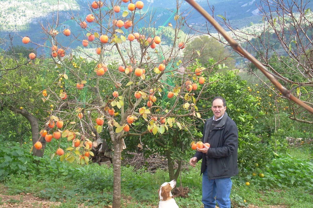 Photo of Outdoor in Biniaraix