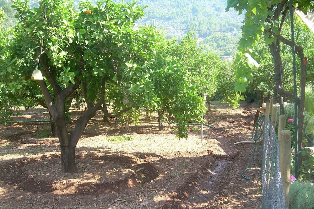 Photo of Outdoor in Biniaraix