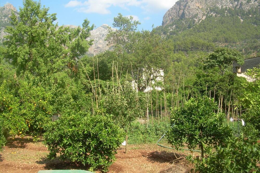 Photo of Outdoor in Biniaraix