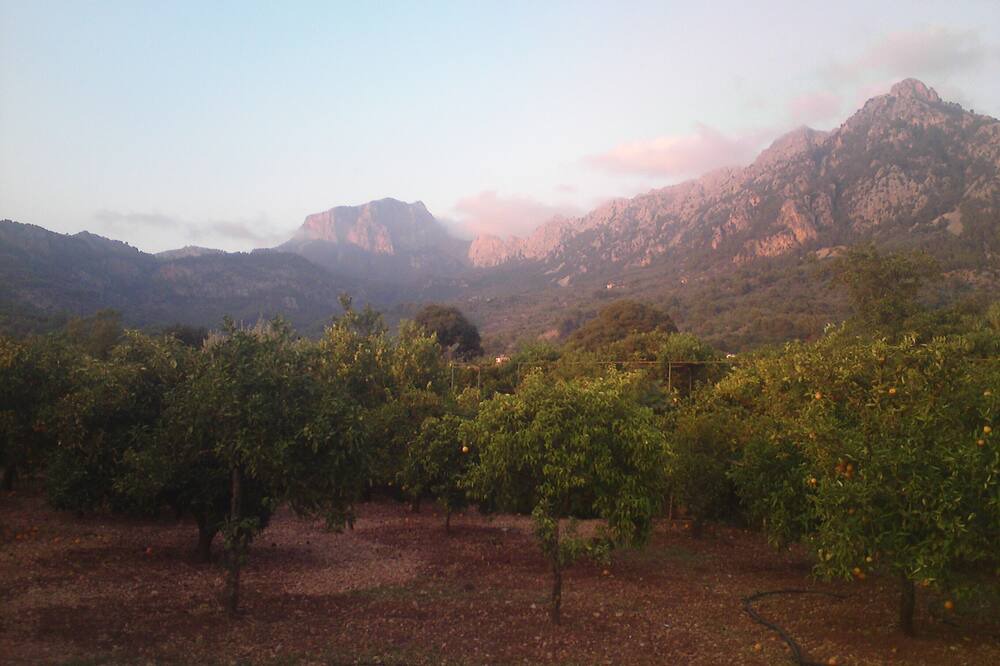 Photo of Outdoor in Biniaraix