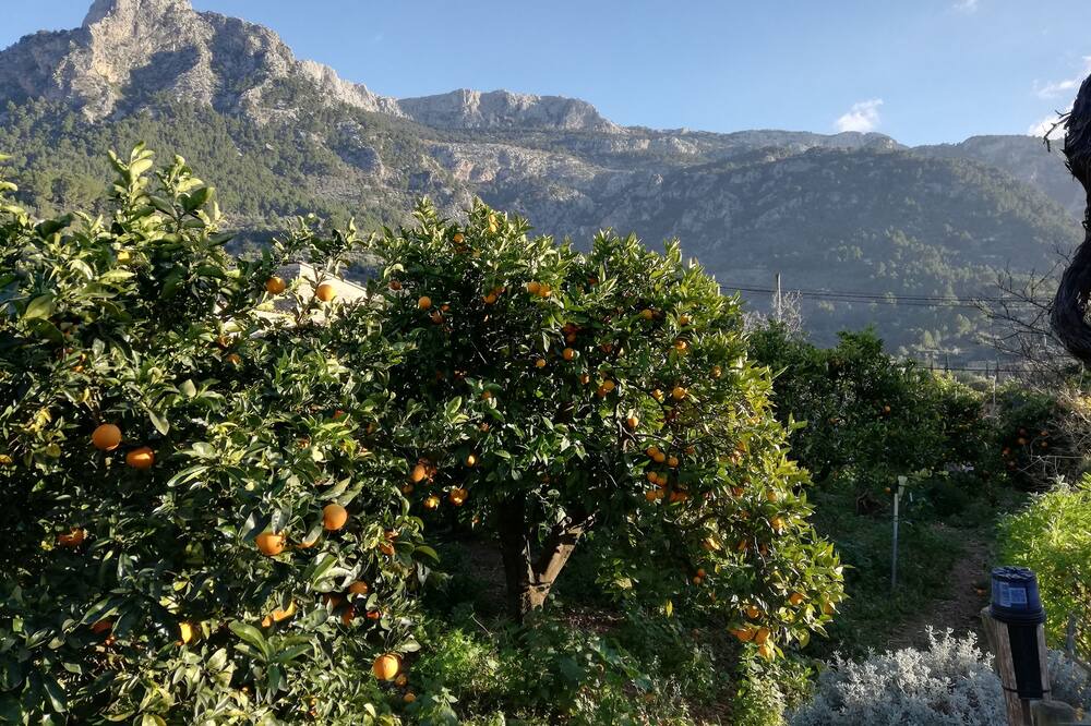 Photo of Outdoor in Biniaraix