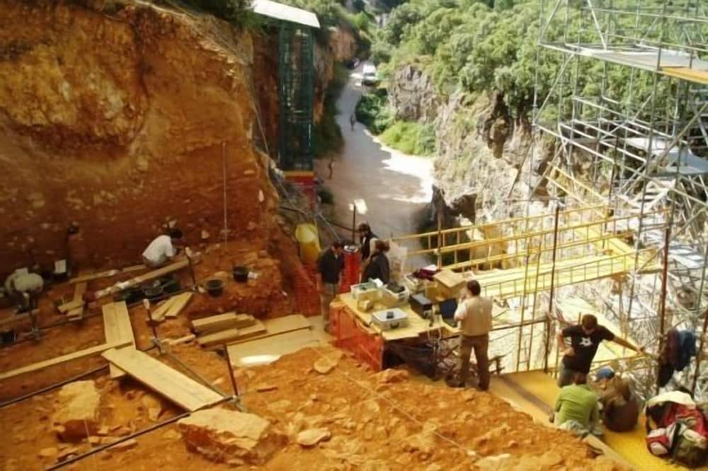 Photo of Others in Atapuerca