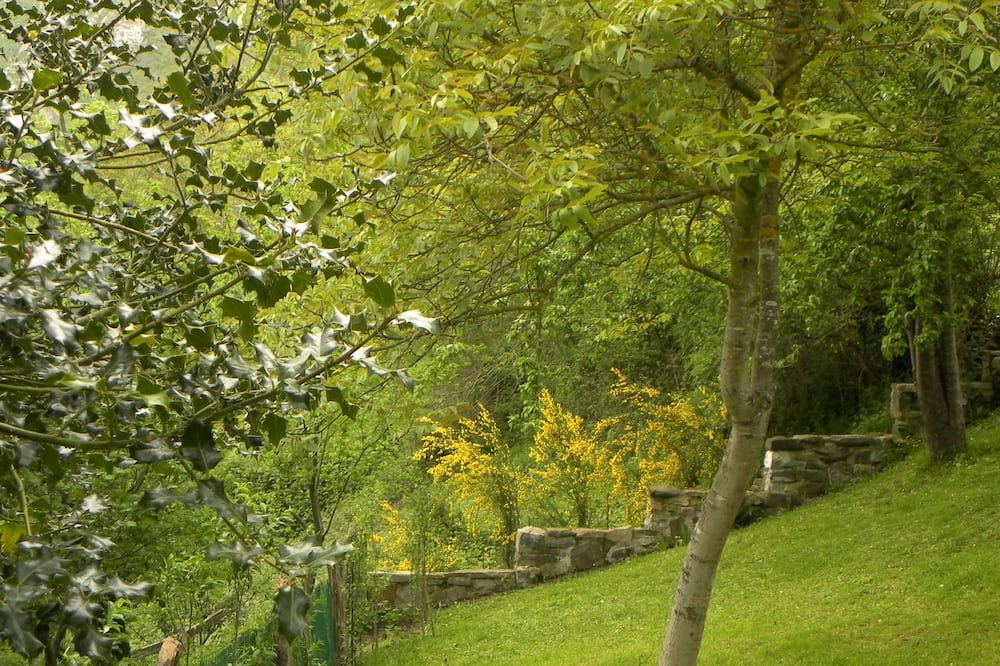 Photo of Outdoor in Ponga