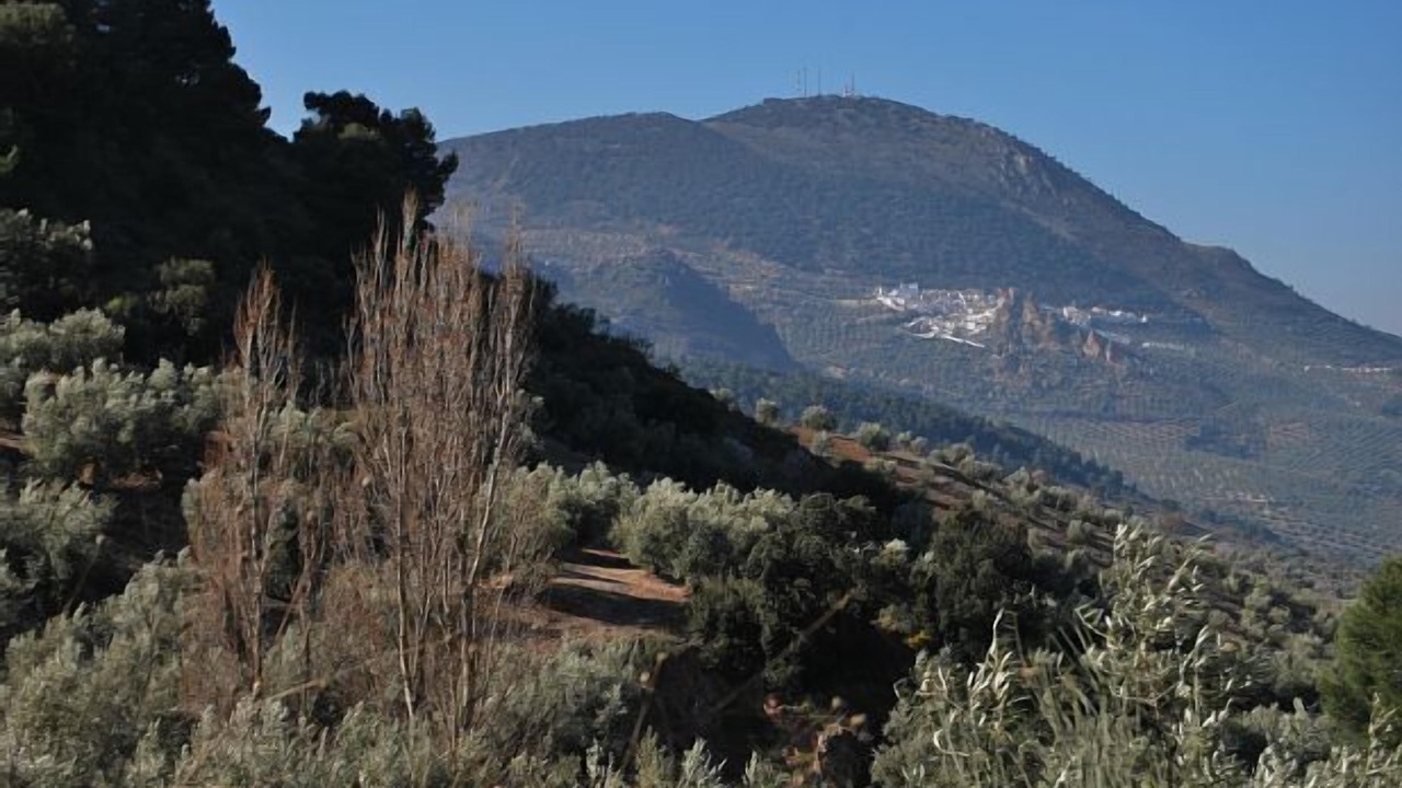 Photo of Outdoor in Aulabar