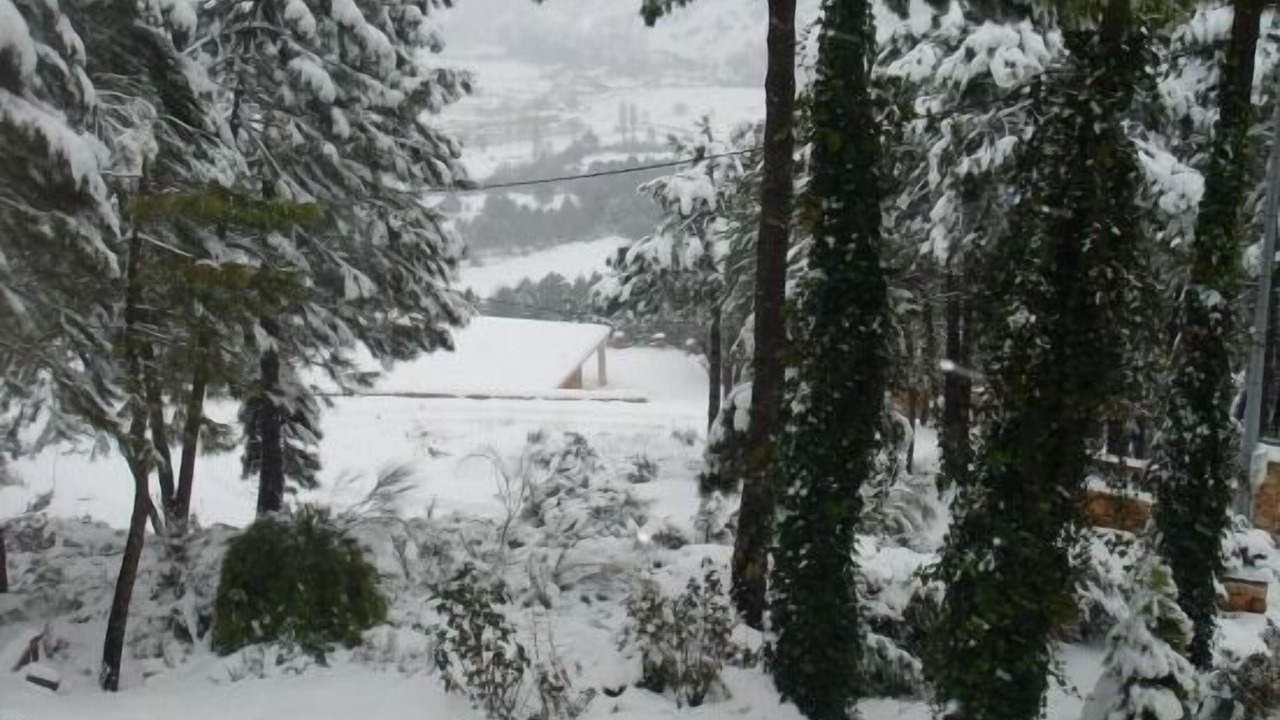 Photo of Outdoor in Riopar
