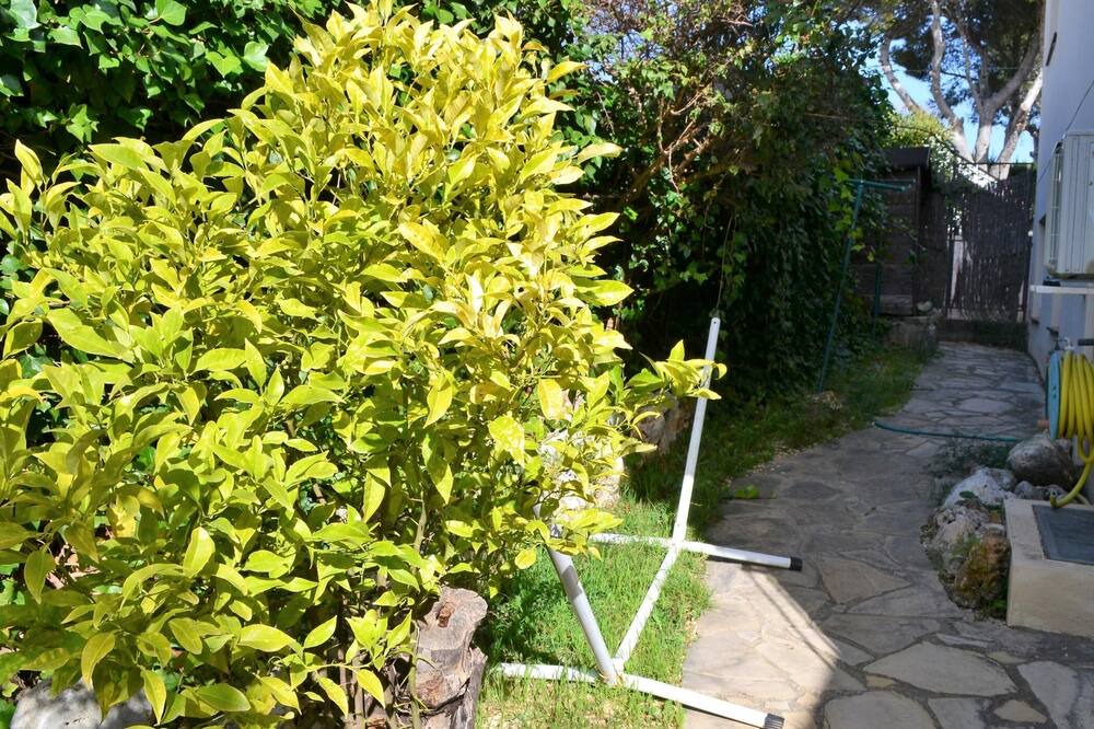 Photo of Outdoor in Llanca