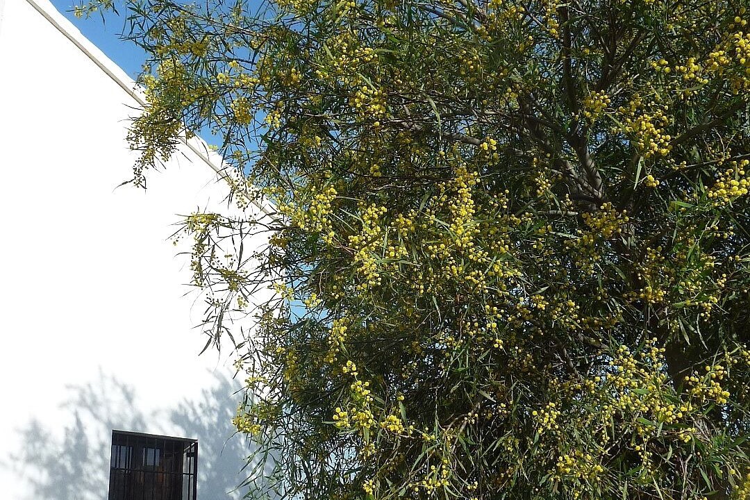Photo of Outdoor in Sorbas