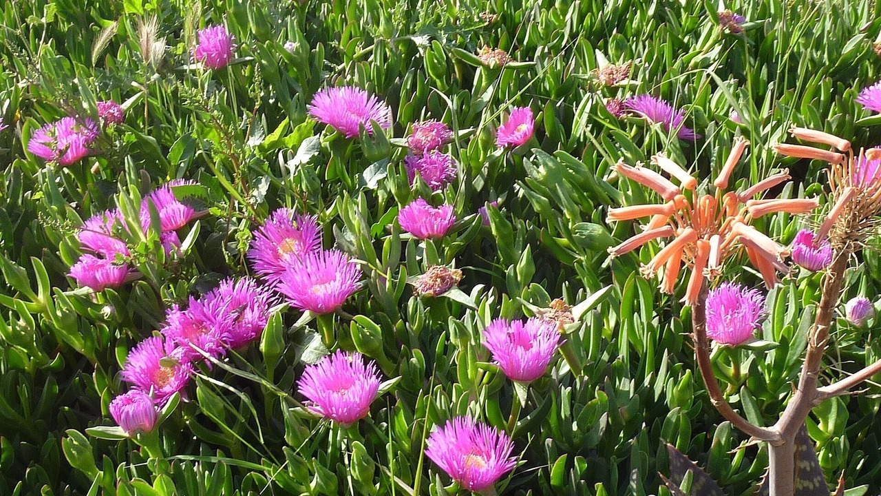 Photo of Outdoor in Sorbas