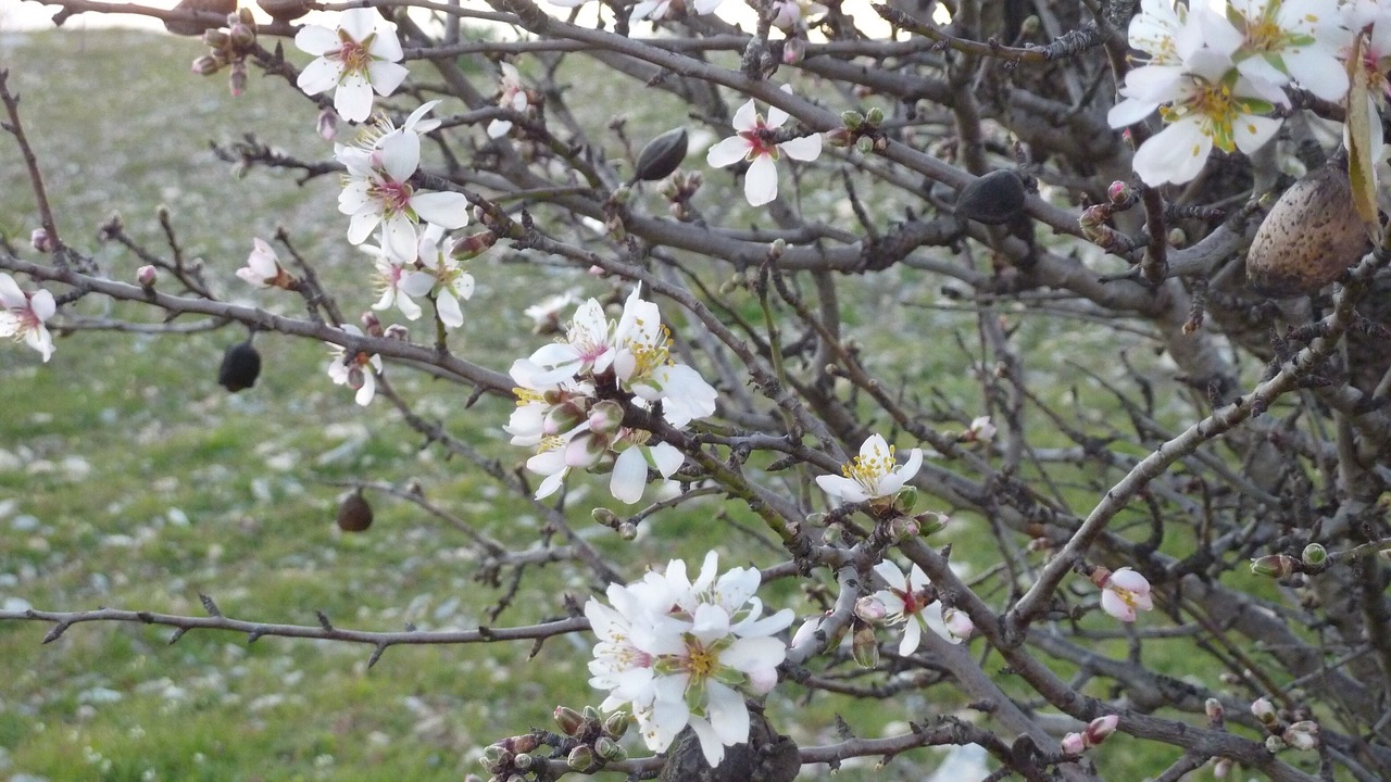 Photo of Outdoor in Sorbas