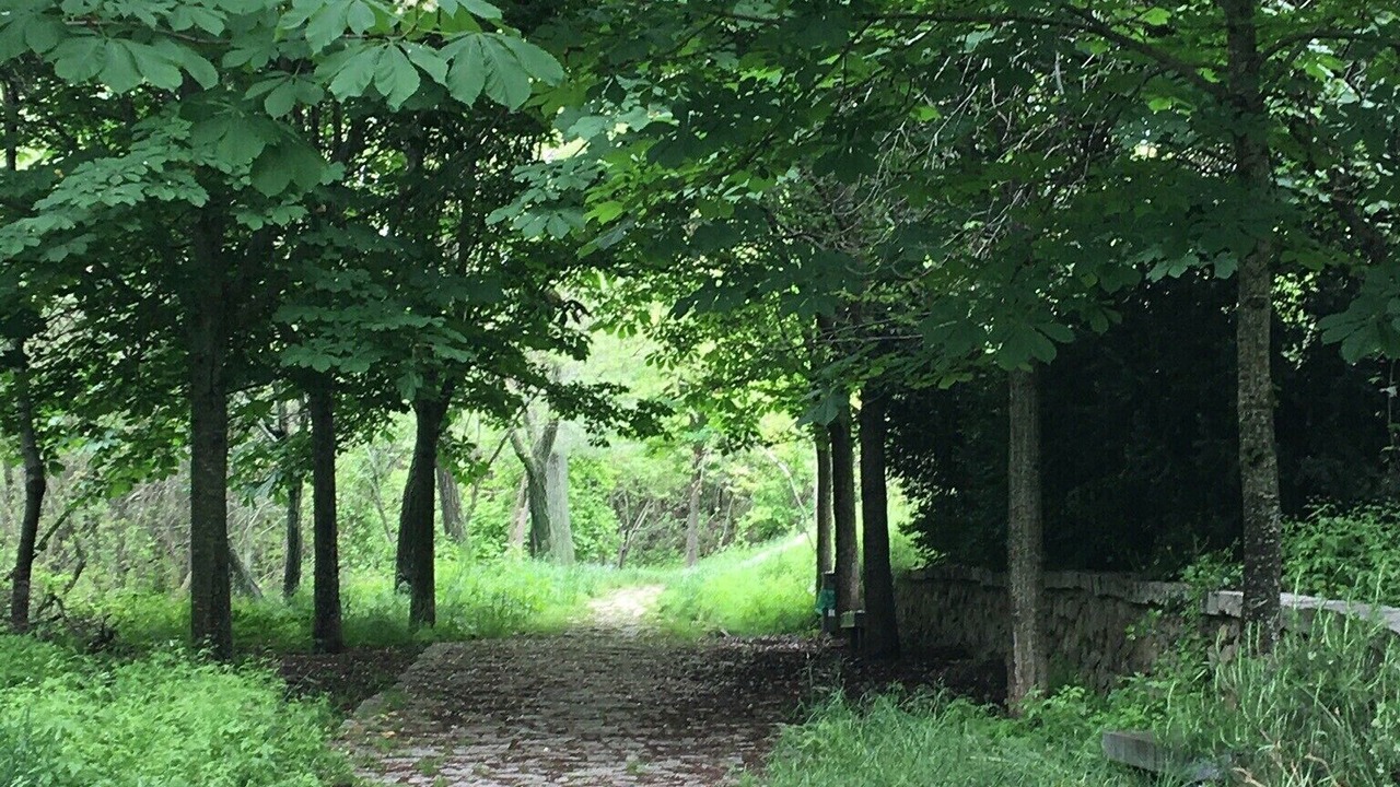 Photo of Outdoor in Becerril de la Sierra