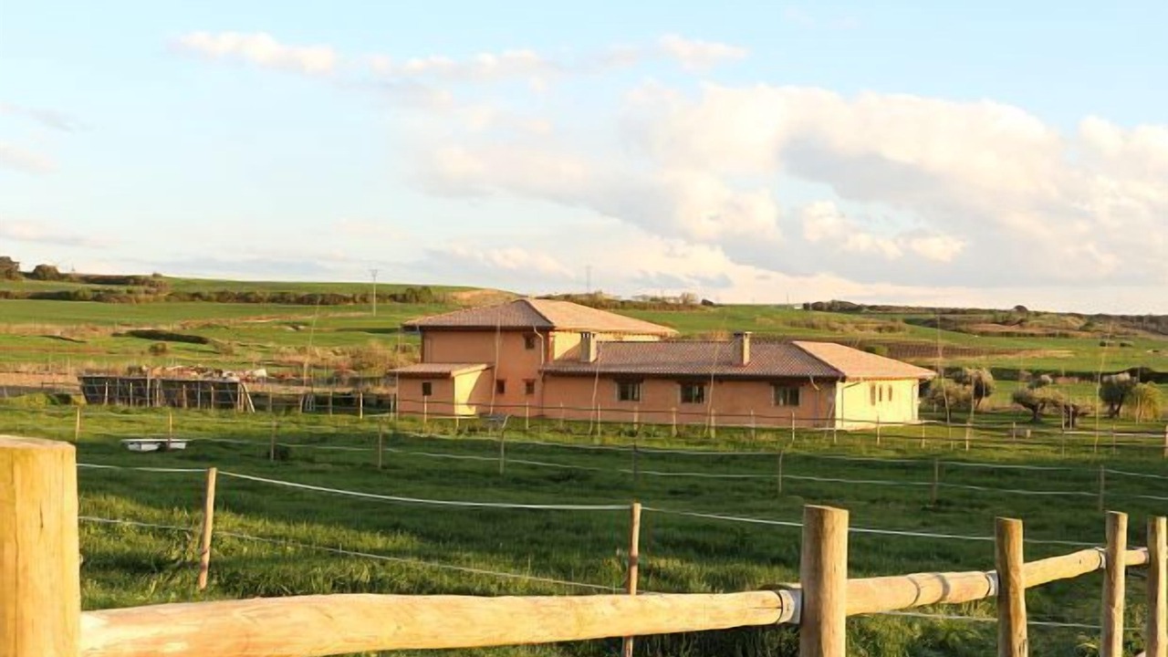 Photo of Others in Tafalla