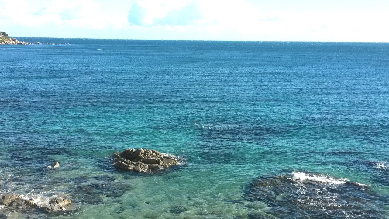 Photo of Others in Calella de Palafrugell