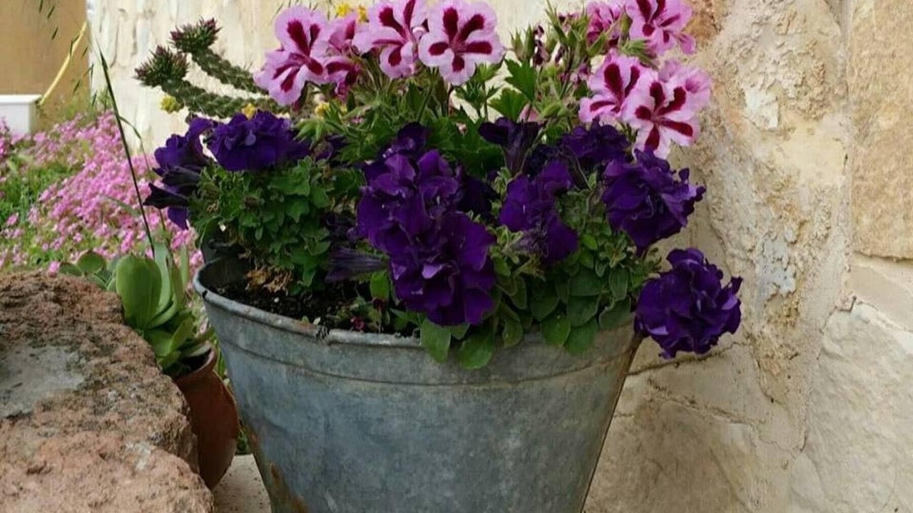 Photo of Outdoor in Villovela de Piron