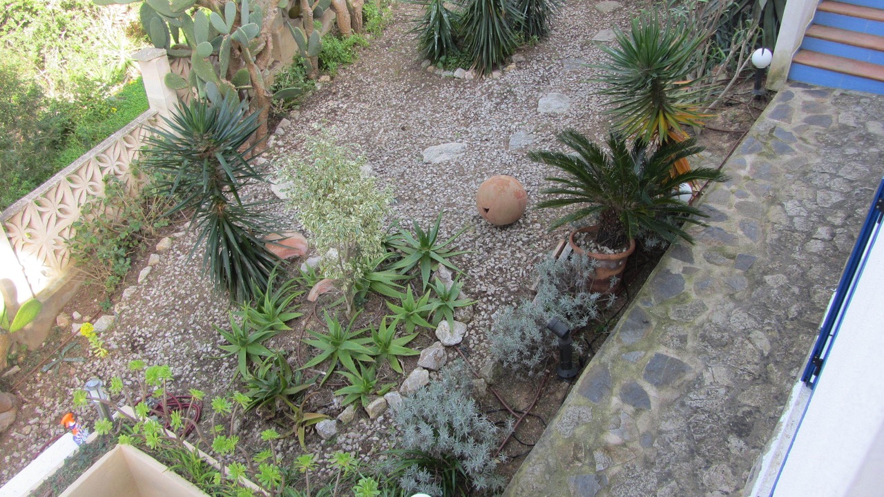 Photo of Outdoor in Ses Rotes Velles