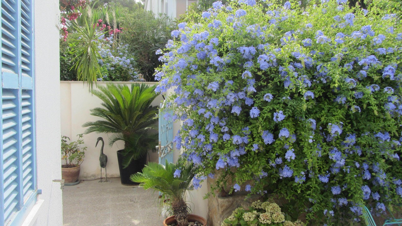Photo of Outdoor in Ses Rotes Velles