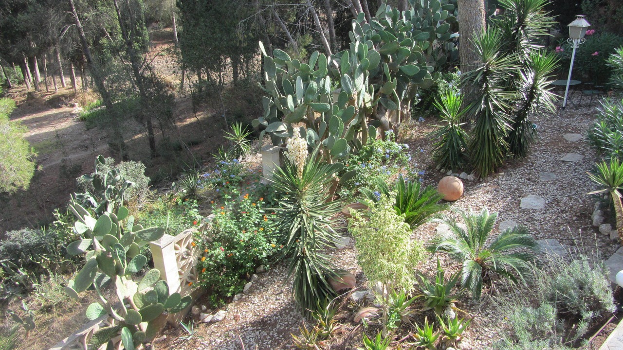 Photo of Outdoor in Ses Rotes Velles