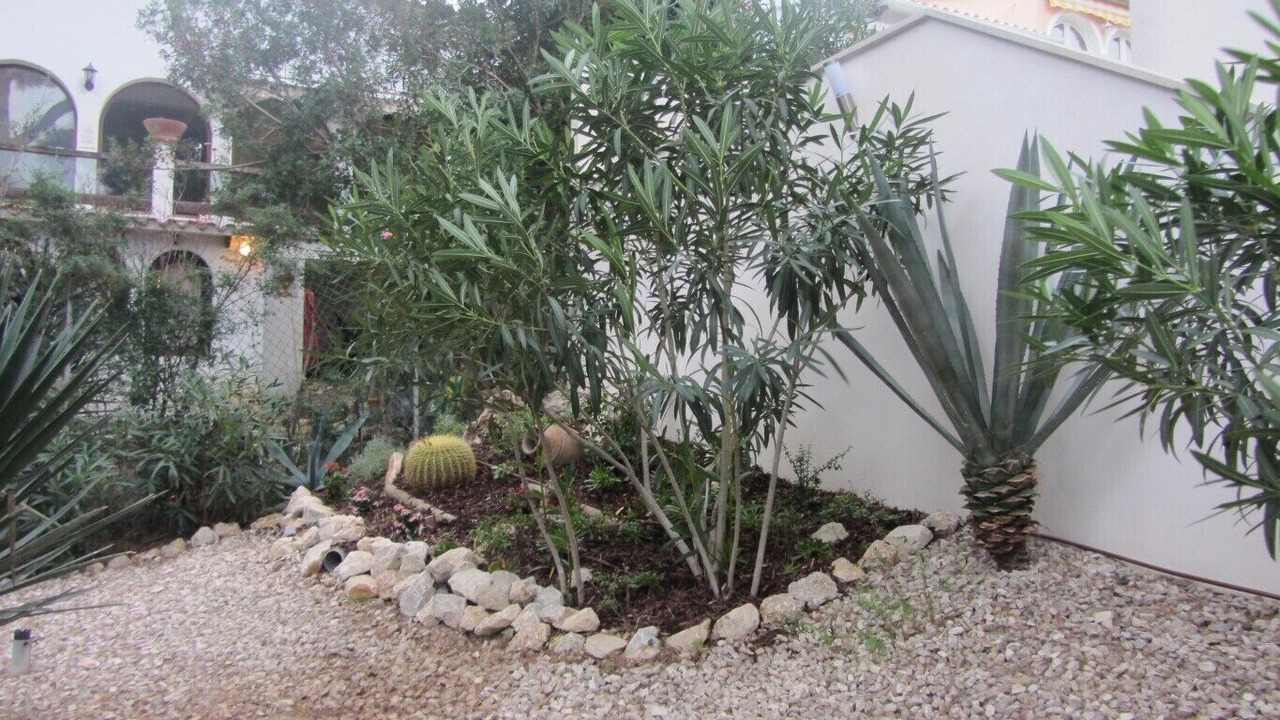 Photo of Outdoor in Ses Rotes Velles