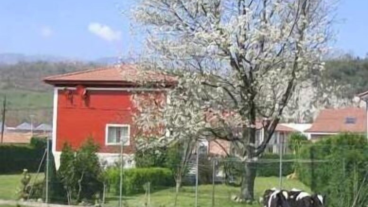 Photo of Others in Vallobal