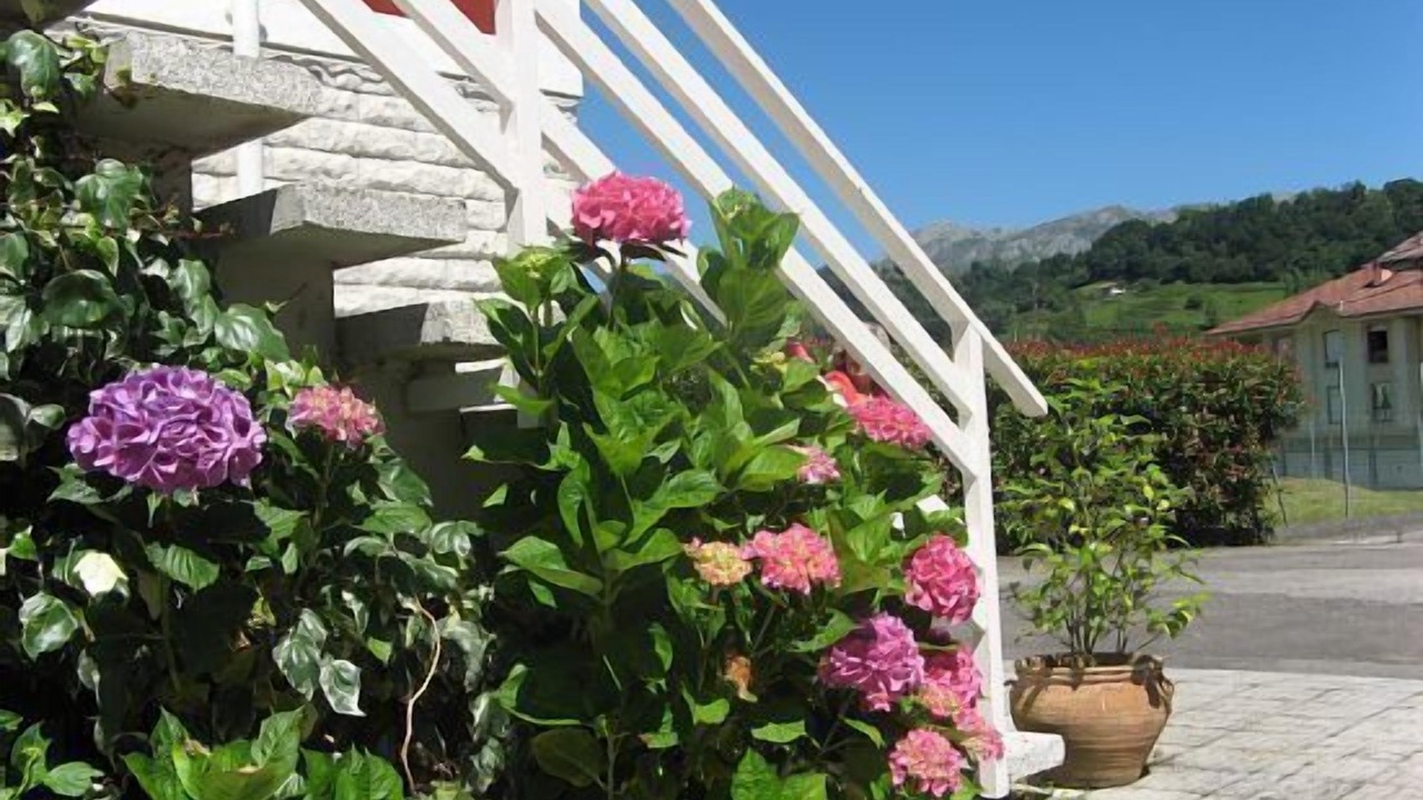 Photo of Outdoor in Vallobal