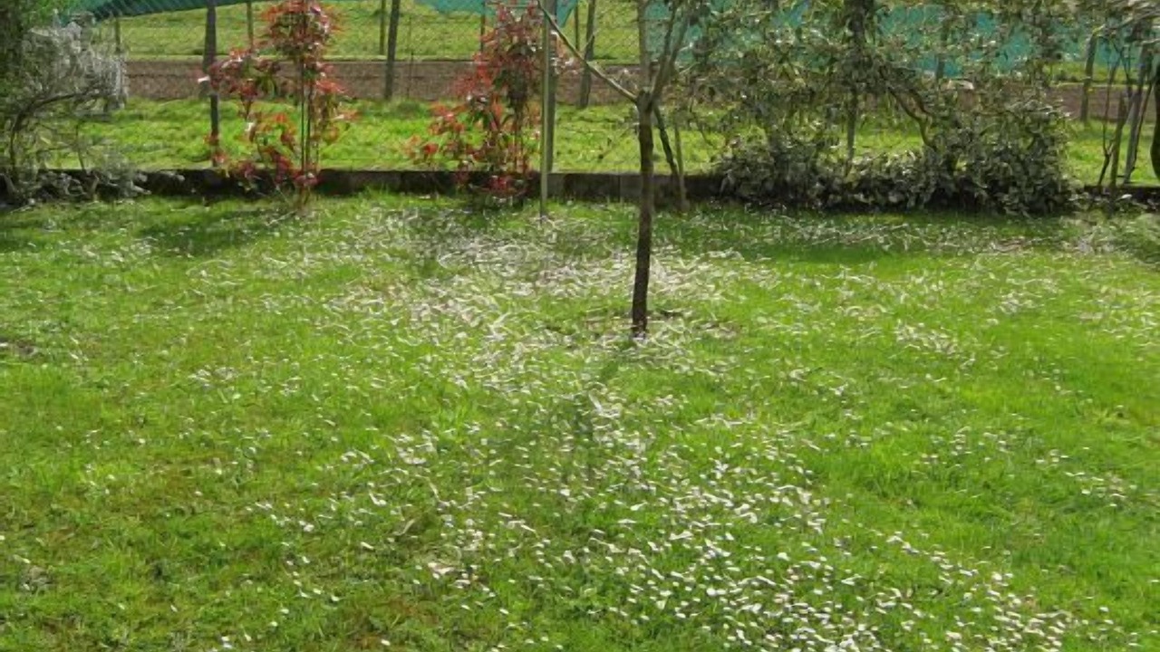 Photo of Outdoor in Vallobal