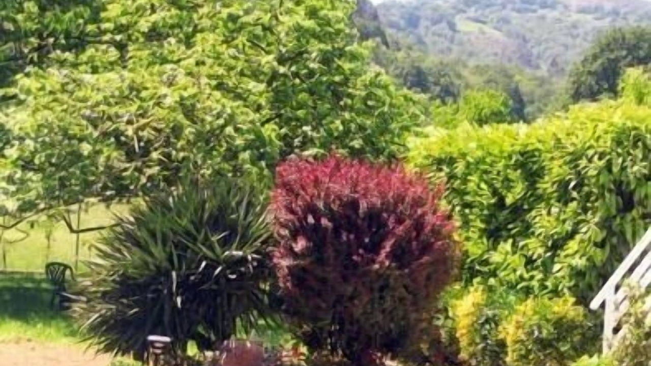Photo of Outdoor in Vallobal