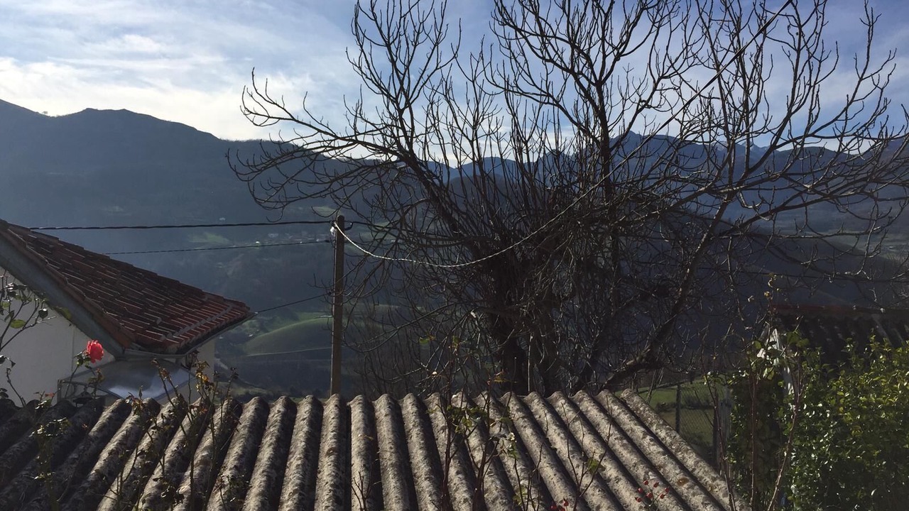 Photo of Outdoor in Salas Municipality