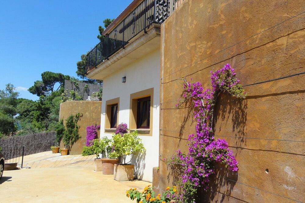 Photo of Others in Begur