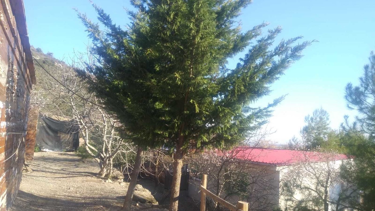 Photo of Outdoor in Castelldans