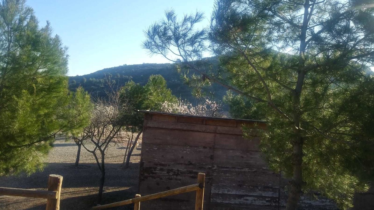 Photo of Outdoor in Castelldans
