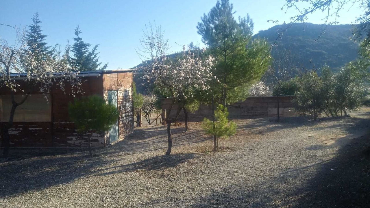 Photo of Outdoor in Castelldans