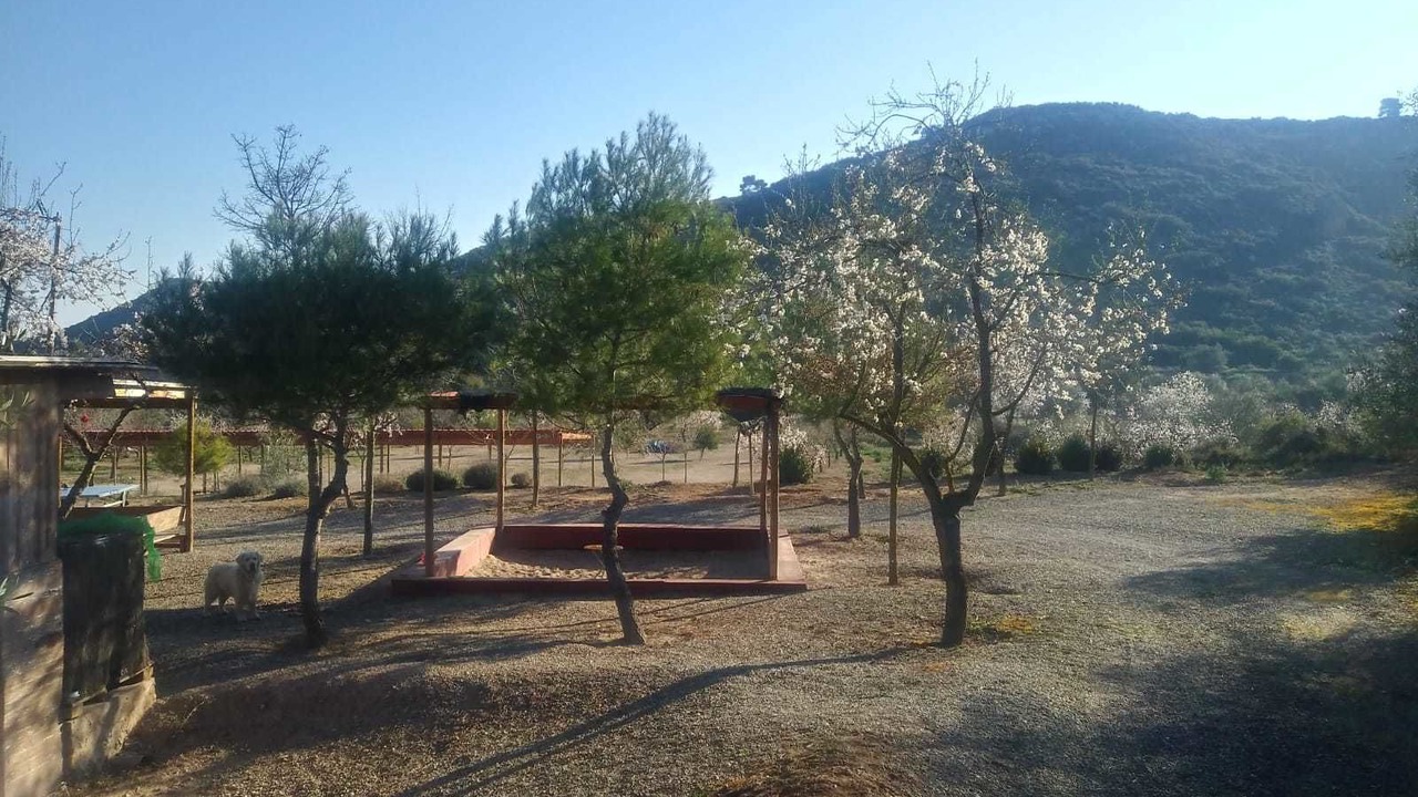 Photo of Outdoor in Castelldans