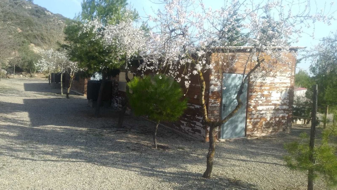 Photo of Outdoor in Castelldans