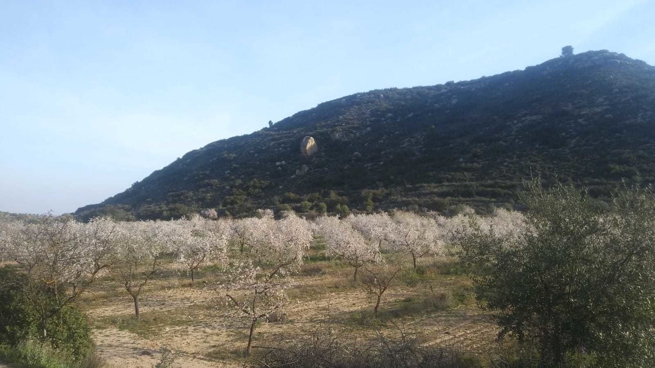 Photo of Outdoor in Castelldans