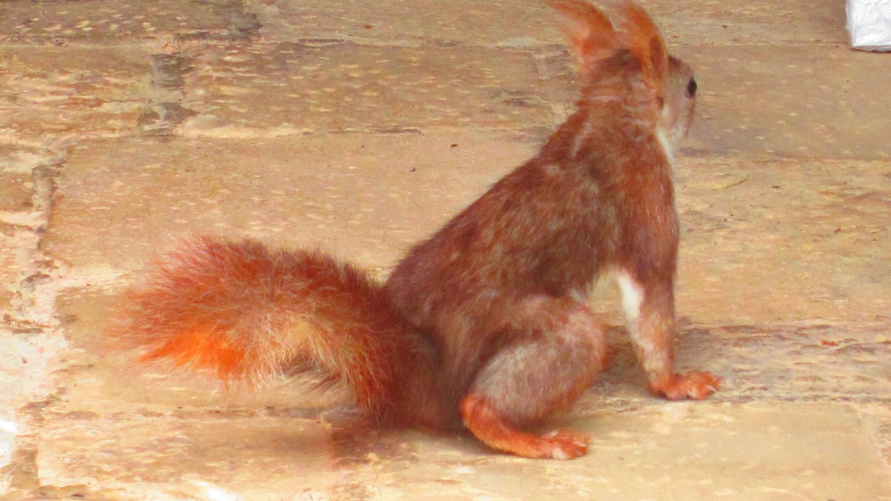 Photo of Others in Pinar de Campoverde