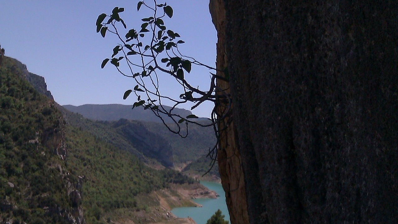 Photo of Others in Perarrua