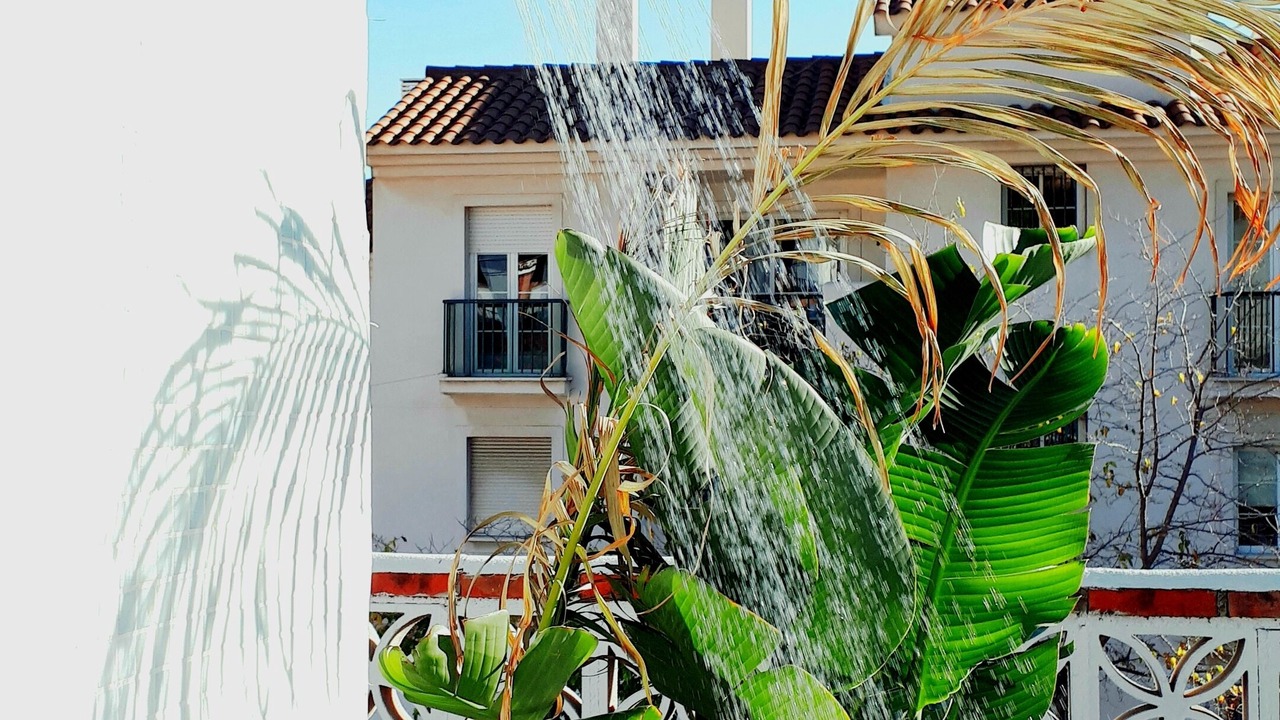 Photo of Outdoor in Benalmadena