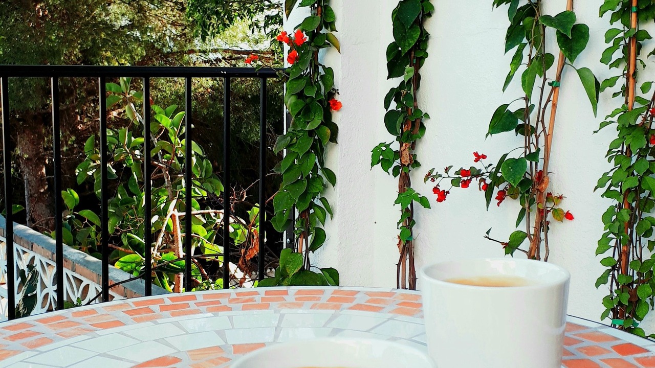 Photo of Outdoor in Benalmadena