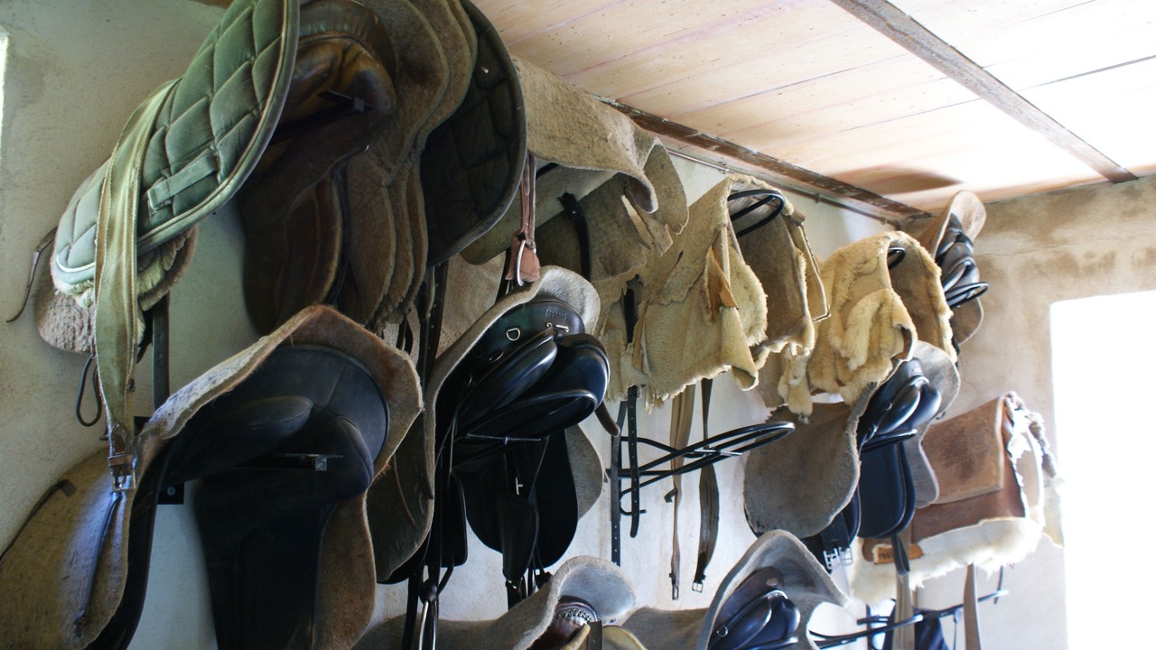 Photo of Others in Mollo